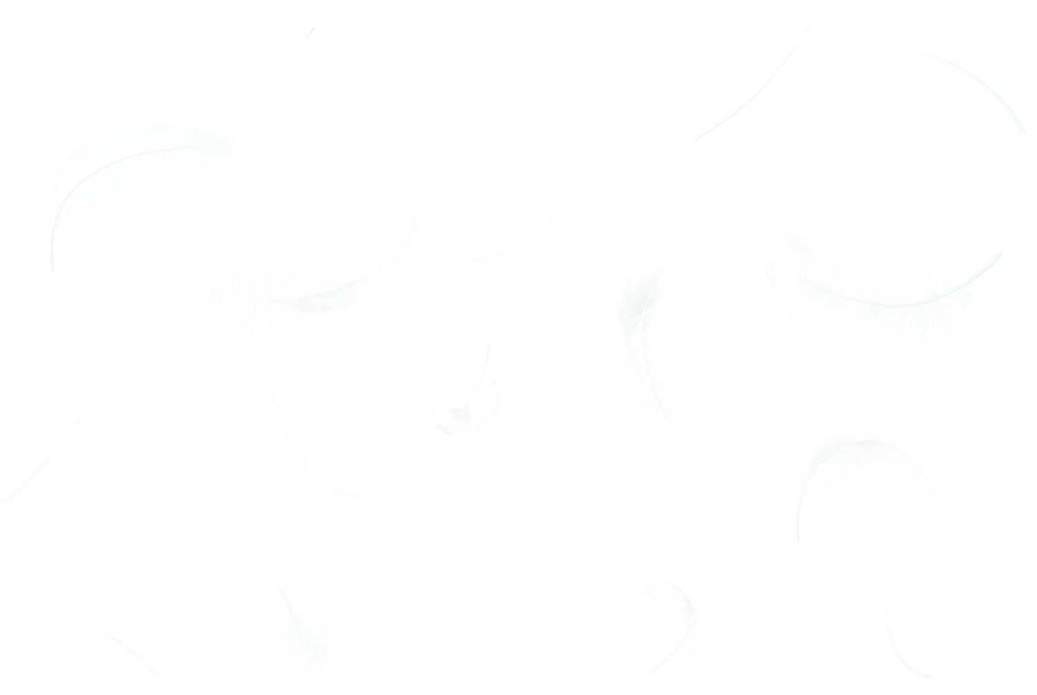 Falling Feathers Illustration