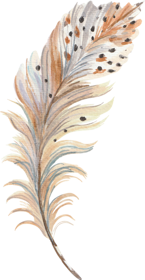 Watercolour Feather