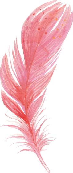 Watercolour Feather