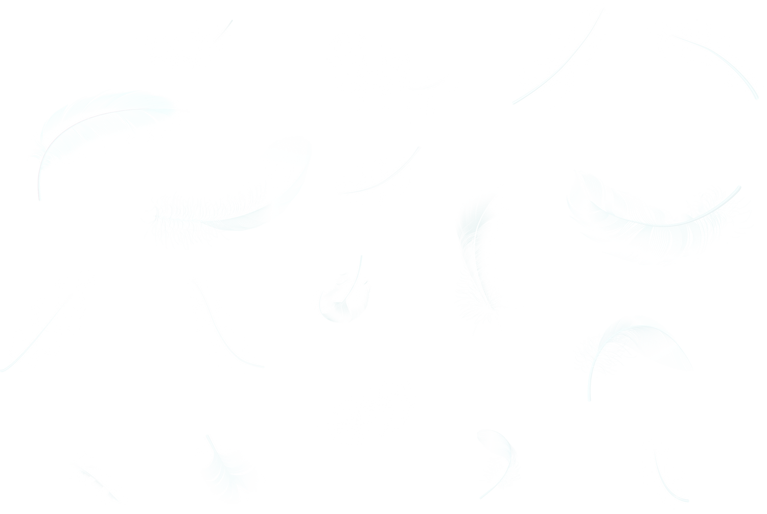 Falling Feathers Illustration