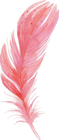 Watercolour Feather